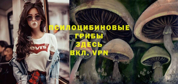 крисы Алзамай