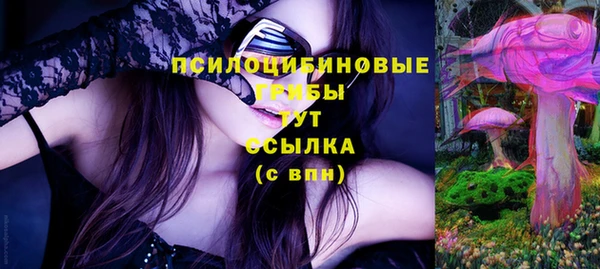крисы Алзамай